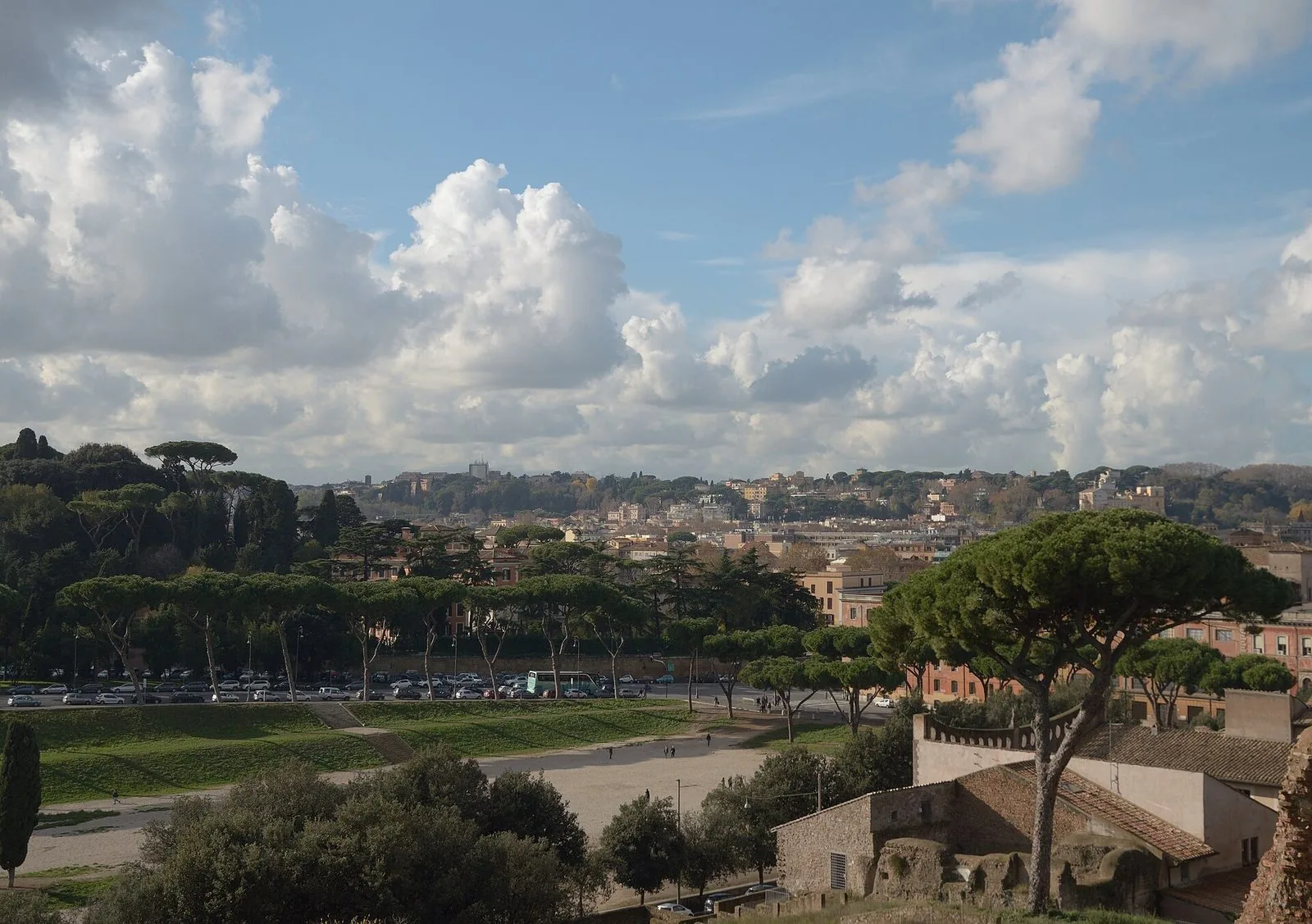 Il Circo Massimo visto dal Palatino, con i pini marittimi e i quartieri della città sullo sfondo sotto un cielo nuvoloso